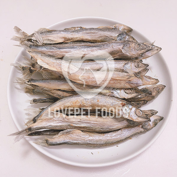 Freeze-dried capelin fish